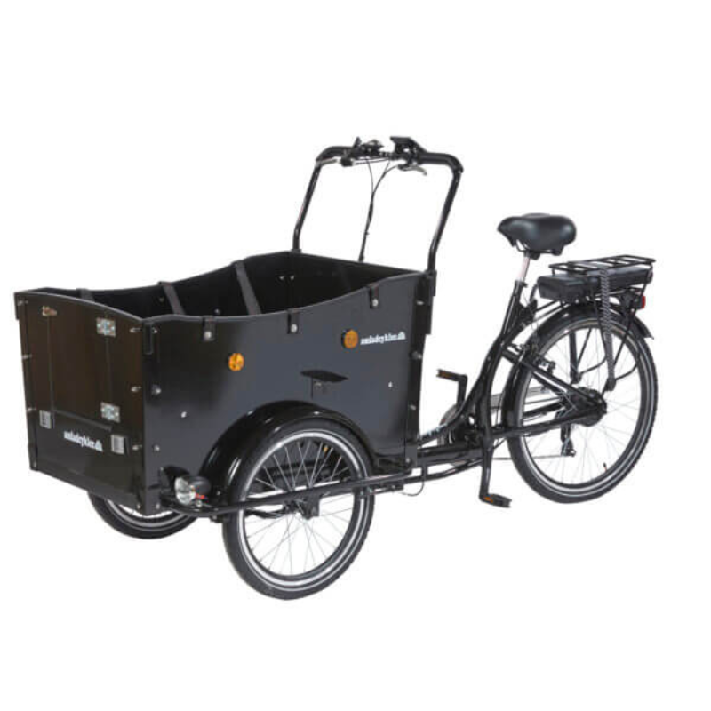 AM CARGO BIKE Kindergarten Electric Tricycle Black