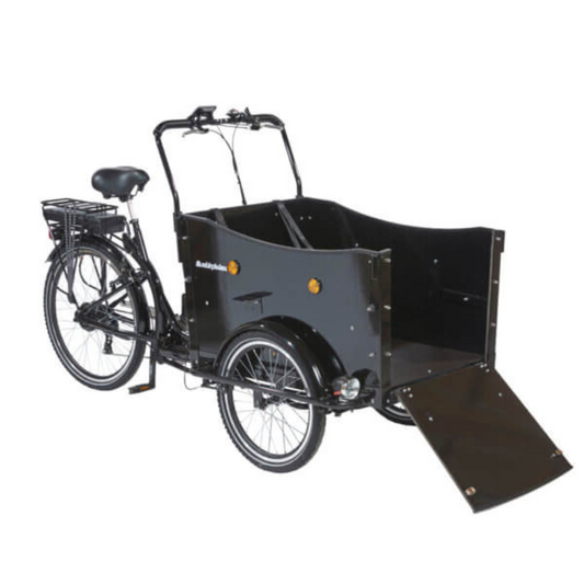AM CARGO BIKE Curve Dog Friendly Electric Tricycle Black
