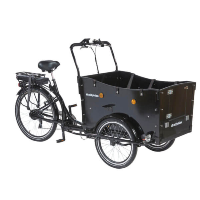 AM CARGO BIKE Kindergarten Electric Tricycle Black