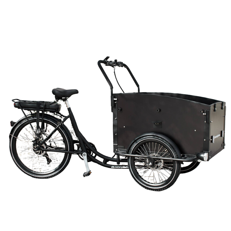 AM CARGO Ultimate Curve Electric Tricycle Black