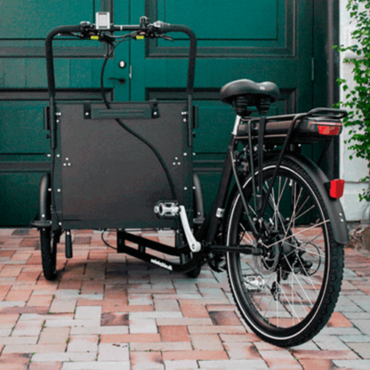 AM CARGO Ultimate Curve Electric Tricycle Black