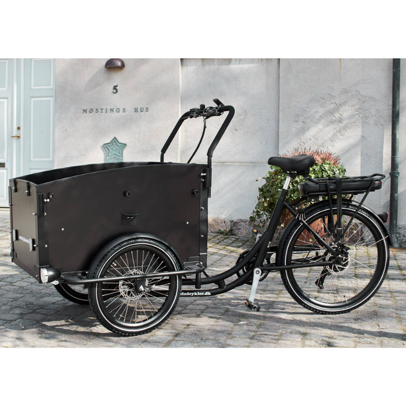 AM CARGO Ultimate Curve Electric Tricycle Black