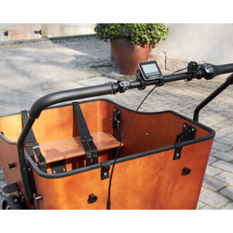 AM CARGO BIKE Ultimate Harmony Electric Tricycle Black/Woodgrain