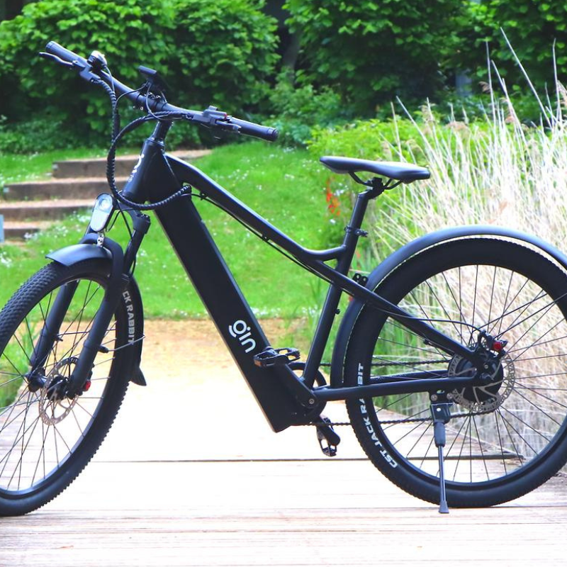 GIN X 250W: Electric Hybrid Bike Crossbar Black
