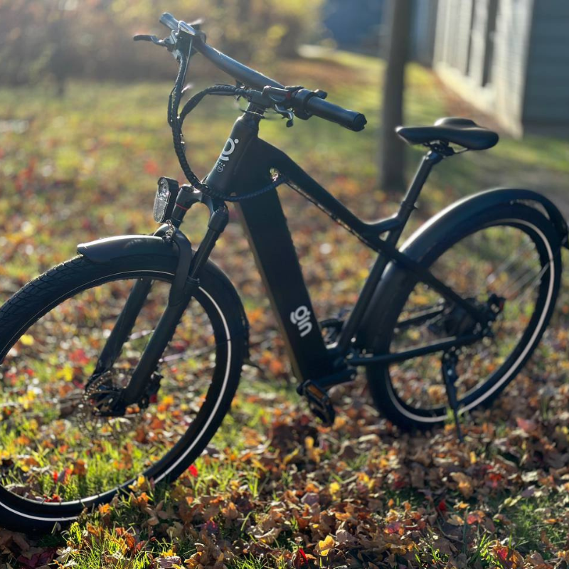 GIN X 250W: Electric Hybrid Bike Crossbar Black- Sleek Display