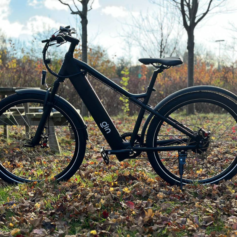 GIN X 250W: Electric Hybrid Bike Crossbar Black- Sleek Display