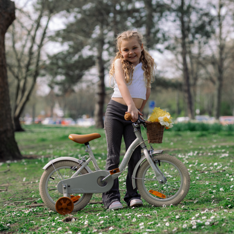 Vintage 14' Bike for Kids 4-6 yrs with front basket & stabilisers Matte Grey