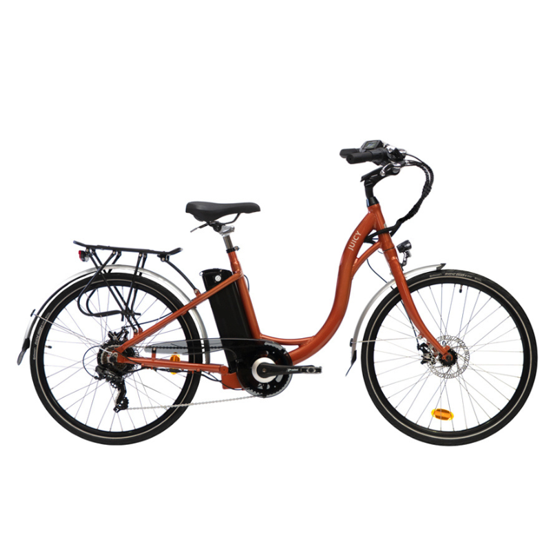 JUICY Classic Electric Bike