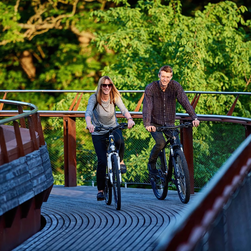 MARK2 X-Cross 450 Step Trough Electric Bike