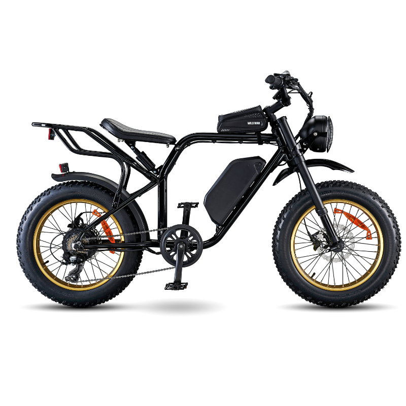 RED ROCKET SX Sport Utility Electric Bike