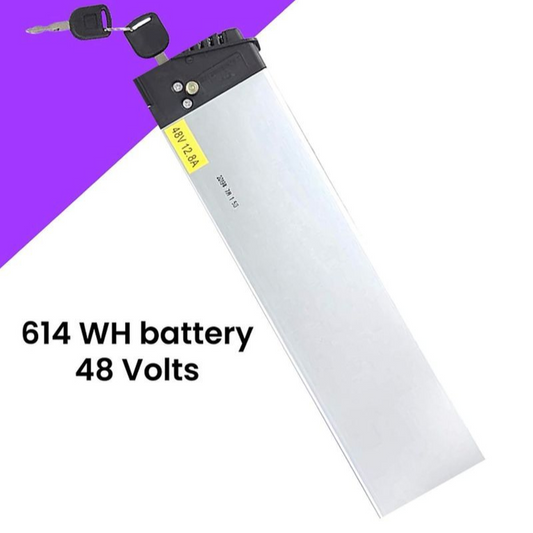 GIN 614.4 WH (48V) Battery