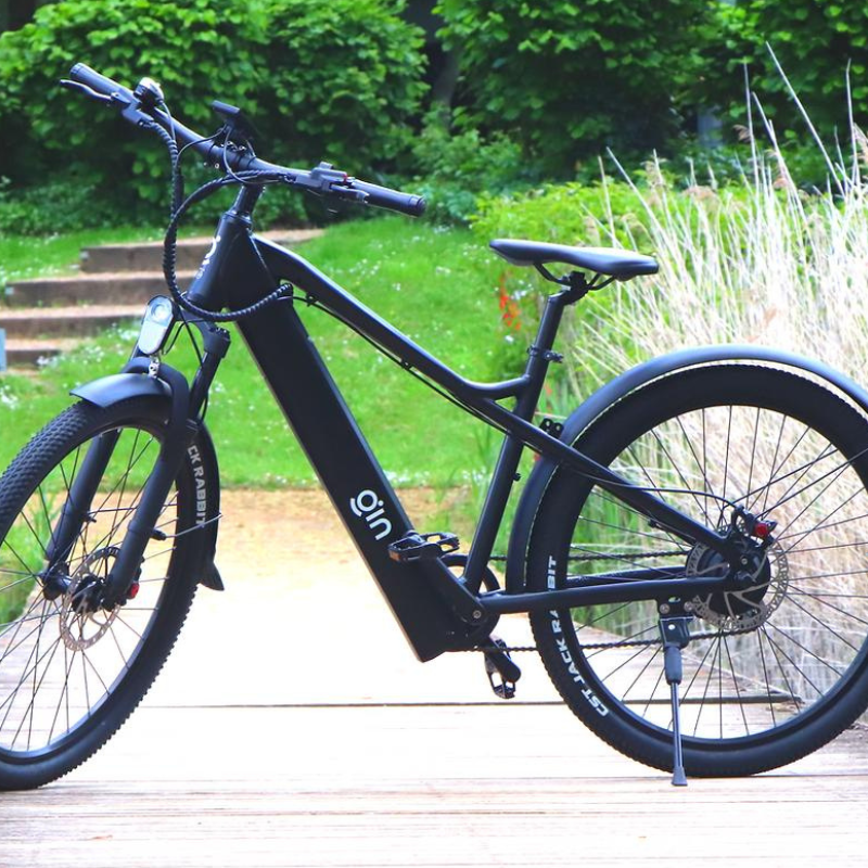 GIN X 500W: Electric Hybrid Bike Crossbar Black