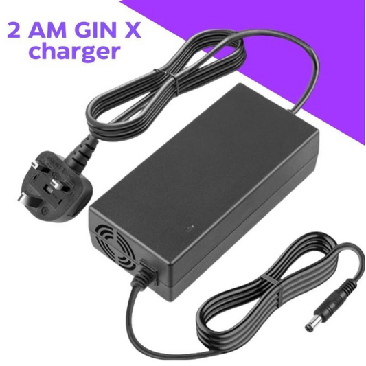 GIN X Charger 2 AM