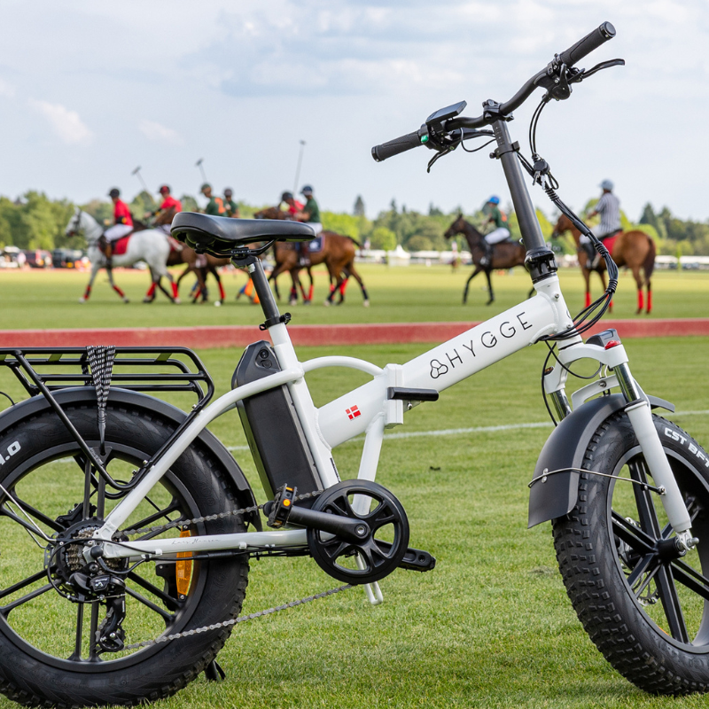 HYGEE Vester All Terrain Foldable Electric Bike Heron White